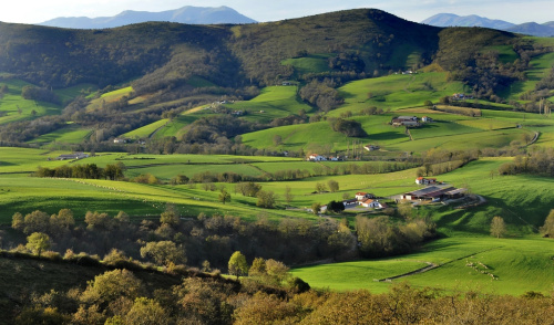 Nouvelle-Aquitaine
