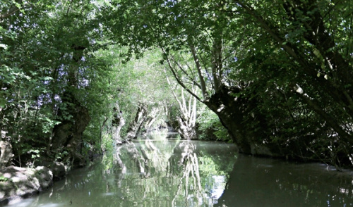 Marais poitevin Marais poitevin