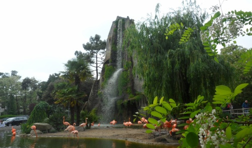zoo de la Palmyre zoo de la Palmyre