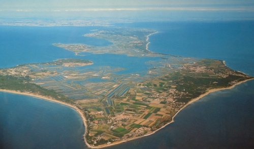 Île de Ré Île de Ré