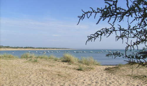 île d'Oléron île d'Oléron