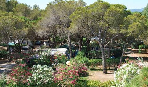 La Baume La Palmeraie La Baume La Palmeraie