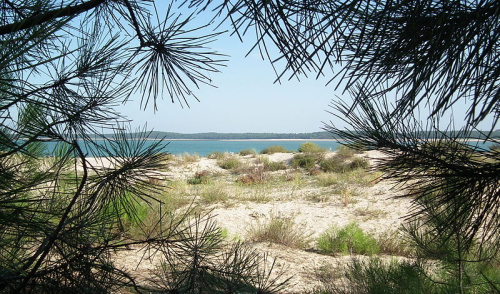 Île de Ré, Île d'Oléron Île de Ré, Île d'Oléron