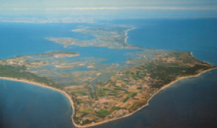 Île de Ré