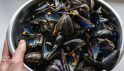 Moules de bouchot 