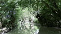 Marais poitevin