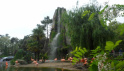 zoo de la Palmyre