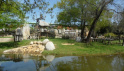 zoo de la Palmyre